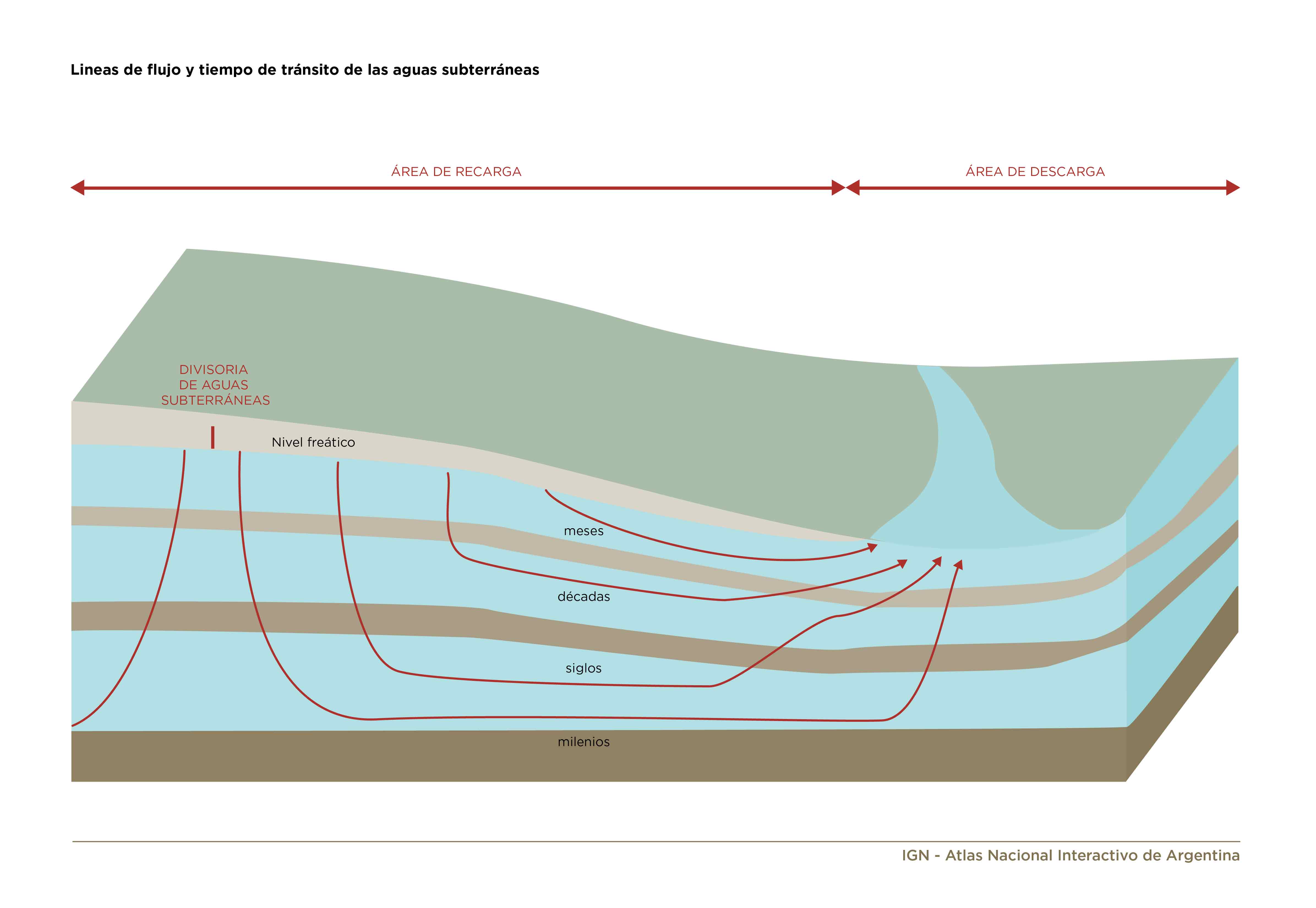 Imagen Ampliada